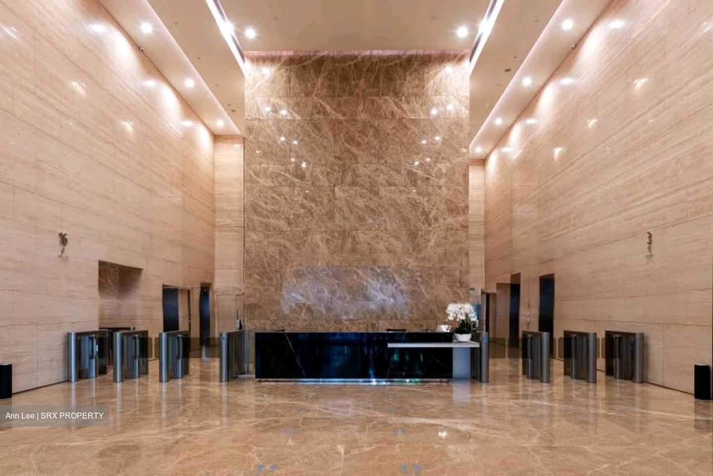 PLUS (D1), Office #560761691